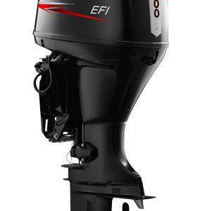 EF100 EFI